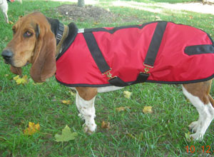 Basset Coats