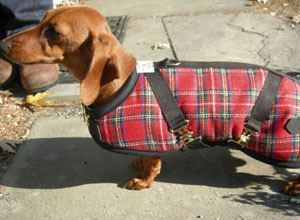 Plaid Coat