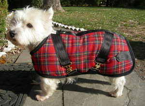 Plaid Coat