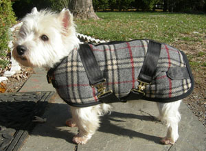 Plaid Coat