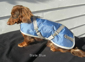 Dachshund Coats