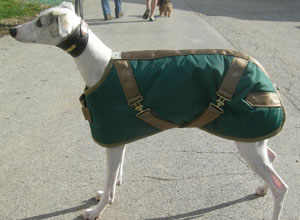 Whippet Coats