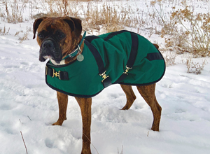 Boxer Coats