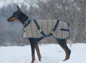 Plaid Coat