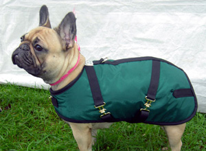 French Bulldog Coats