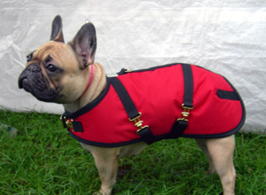 French Bulldog Coats