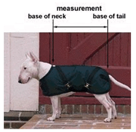 How to Find the Right Dog Coat