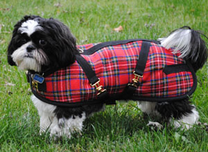 Plaid Coat