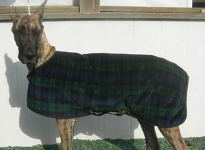 Great Dane Coats