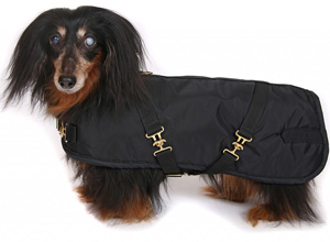 Dachshund Coats