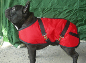 French Bulldog Coats