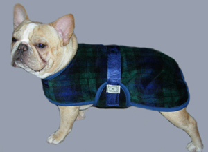 French Bulldog Coats