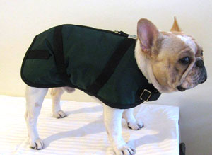 French Bulldog Coats