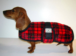 Dachshund Coats