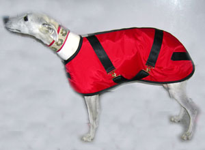 Whippet Coats