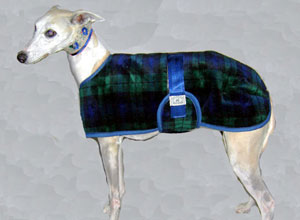 Whippet Coats