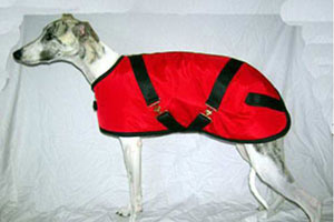 Whippet Coats