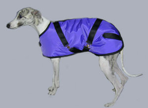 Whippet Coats